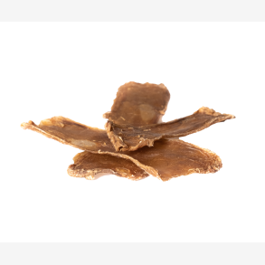 B�ffelstrube � Naturlig tyggesnack til hund