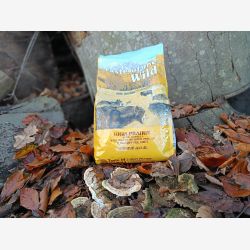 Taste of the wild bison