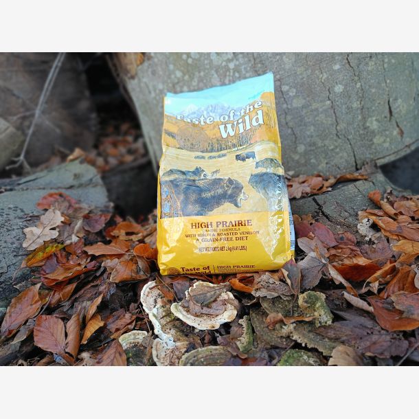 Taste of the wild bison