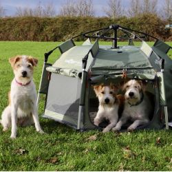 SmartHouse Dog Small