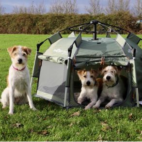 SmartHouse Dog Small