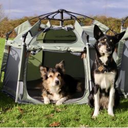 SmartHouse Dog Medium