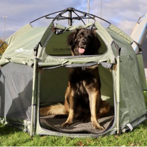 SmartHouse Dog Large