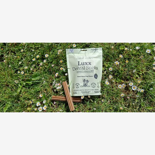 Luxx Dentalsticks 7stk/ps