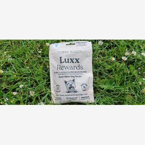 Luxx Rewards 